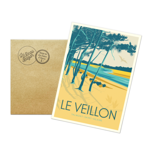 Carte postale TALMONT-SAINT-HILAIRE Le Veillon beau bazar