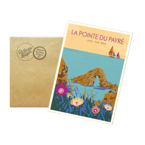 Carte postale JARD-SUR-MER Pointe Payré beau bazar