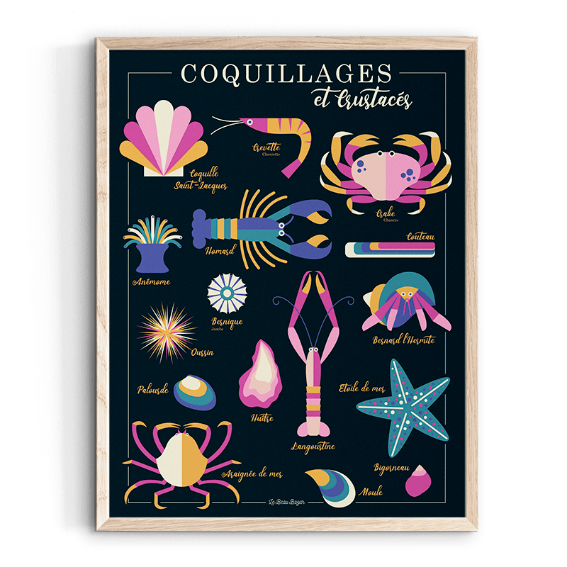 Affiche Coquillages crustacés beau bazar